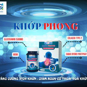 KHOP PHONG 2