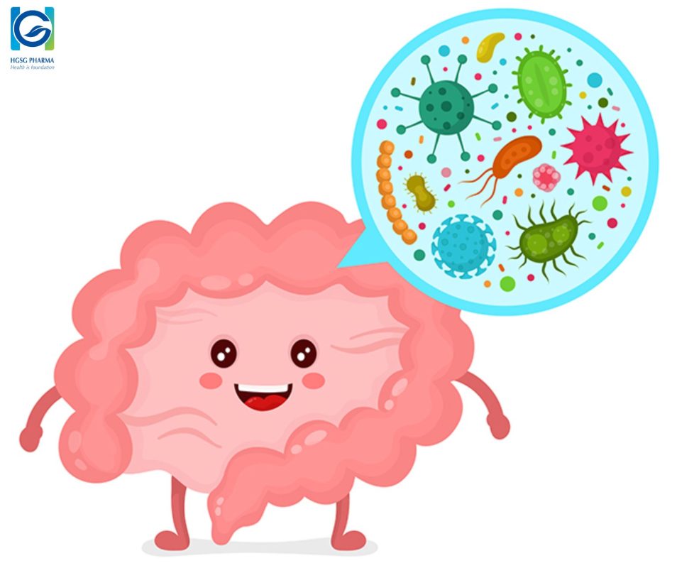 Bacillus subtilis có tác dụng cân bằng hệ vi khuẩn đường ruột.