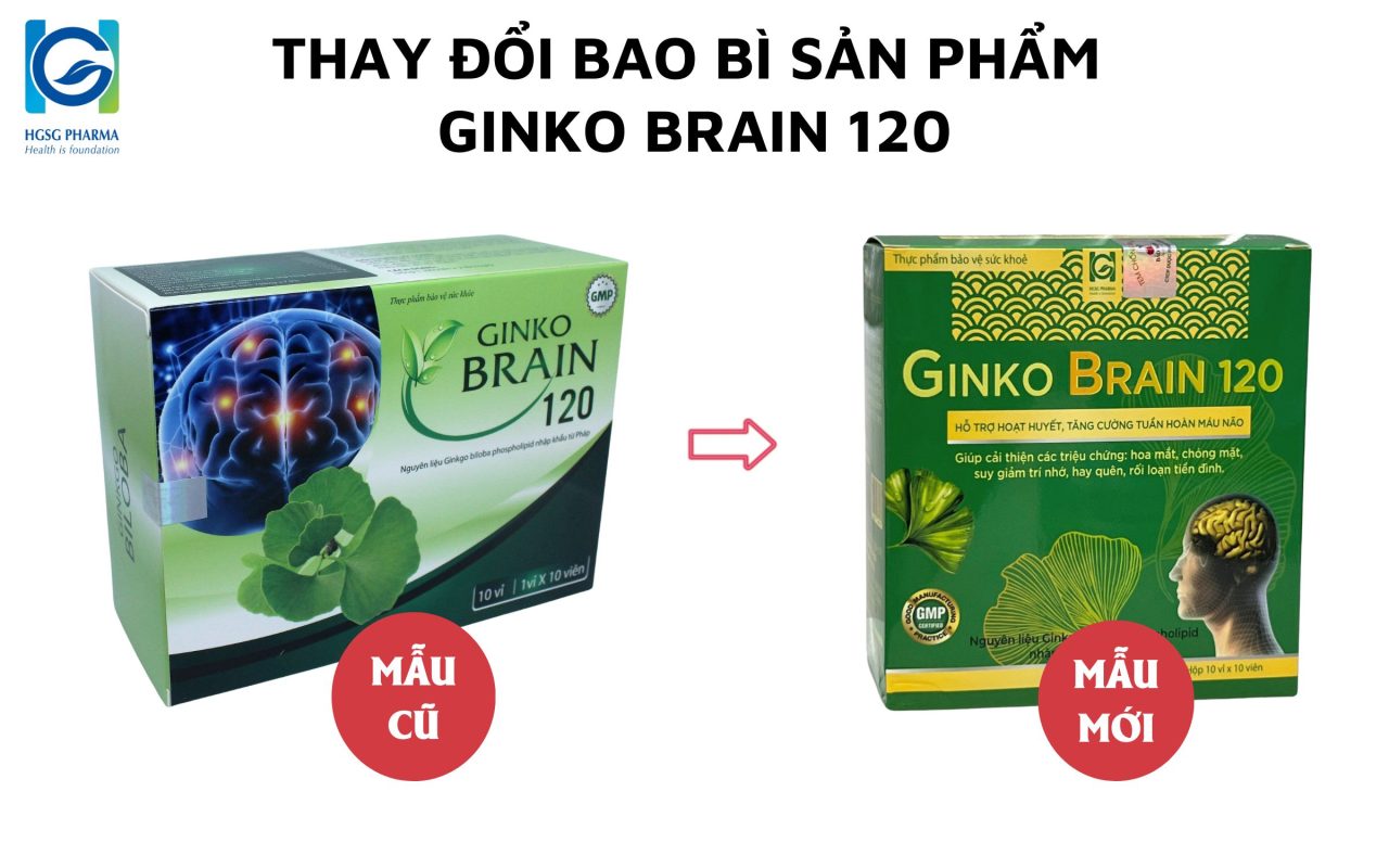 ginko brain 120
